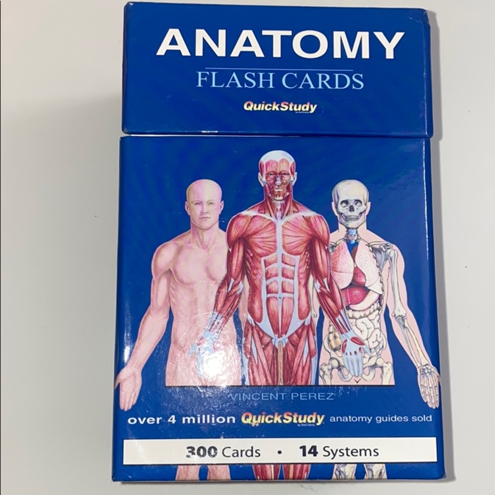 Anatomy flash cards